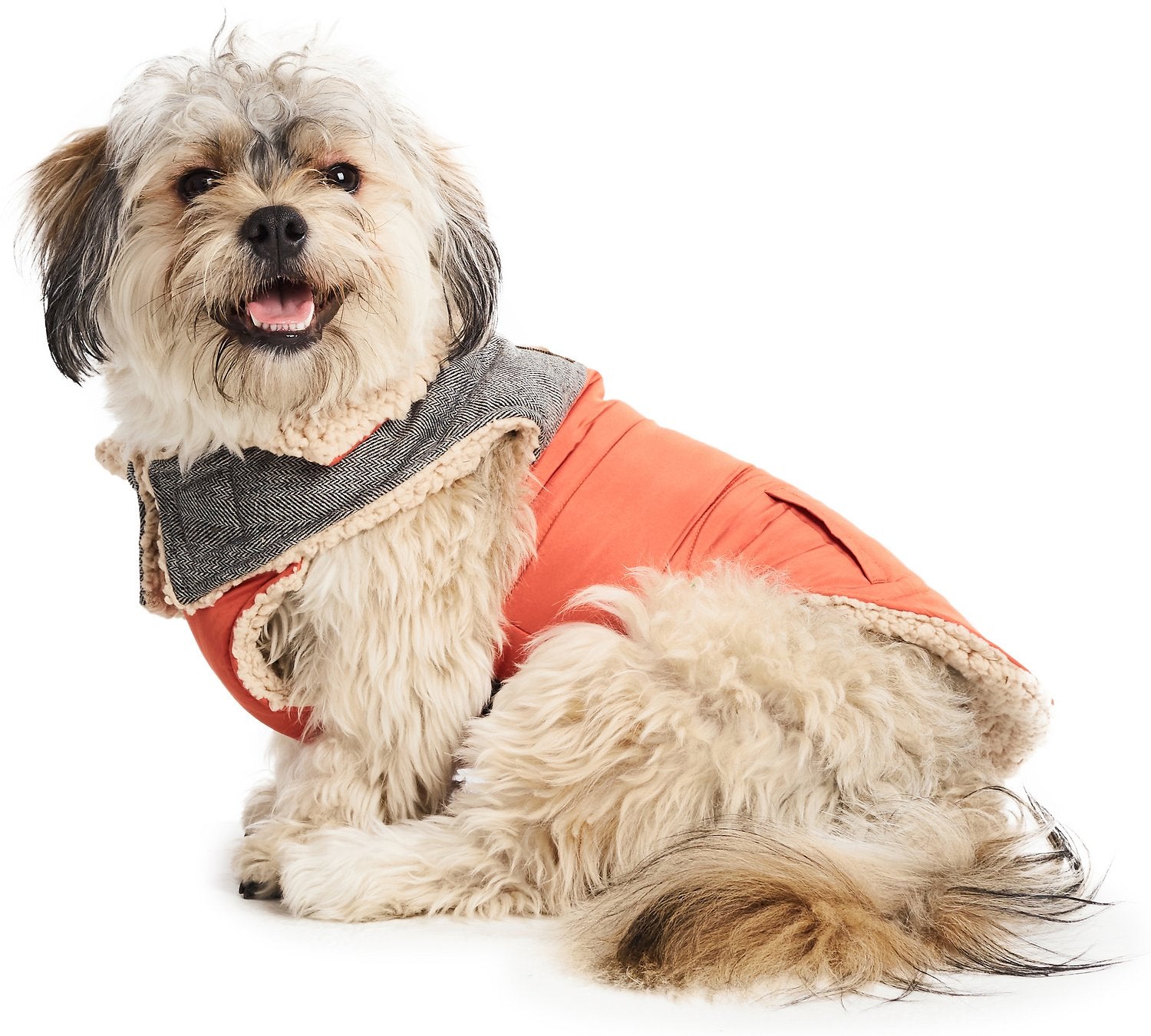 Hotel best sale doggy clothes