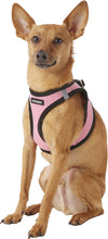 Load image into Gallery viewer, Best Pet Supplies Voyager Black Trim Mesh Dog Harness
