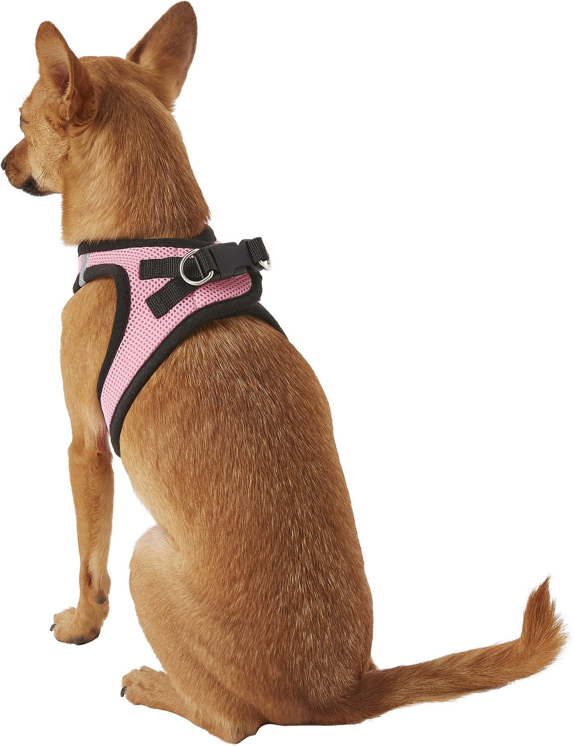 Voyager mesh deals dog harness