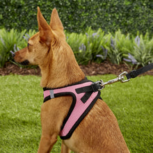 Load image into Gallery viewer, Best Pet Supplies Voyager Black Trim Mesh Dog Harness
