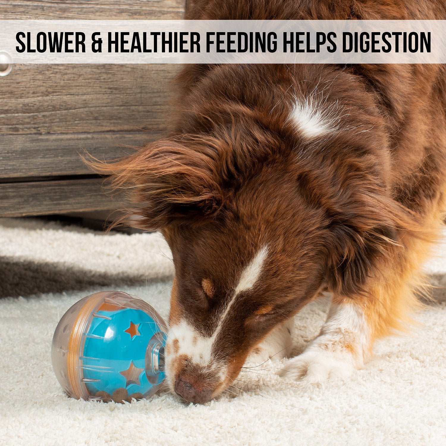 Pet zone iq treat ball dog toy discount