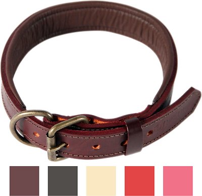 Logical Leather Padded Dog Collar