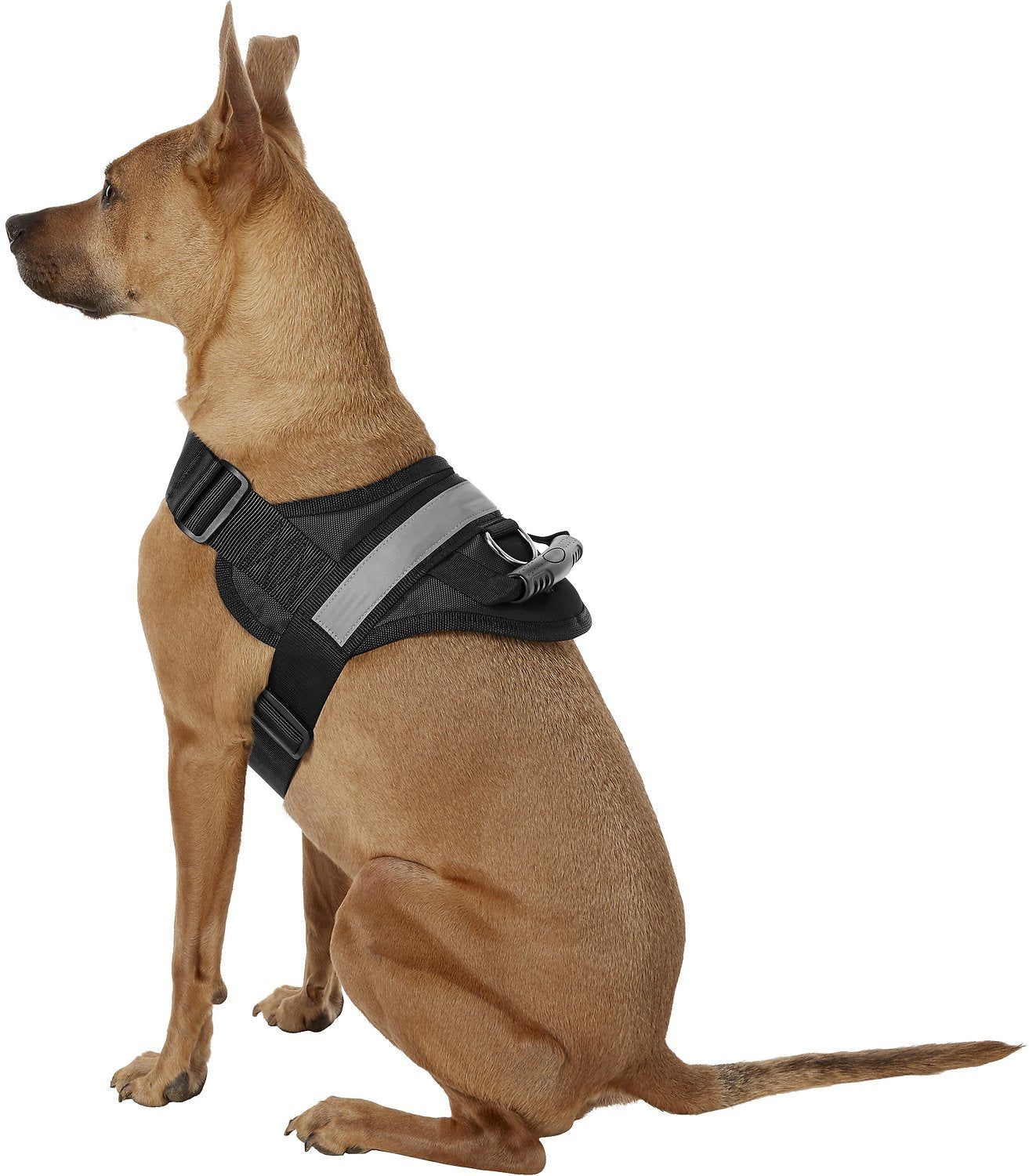 Hdp big dog no pull harness outlet