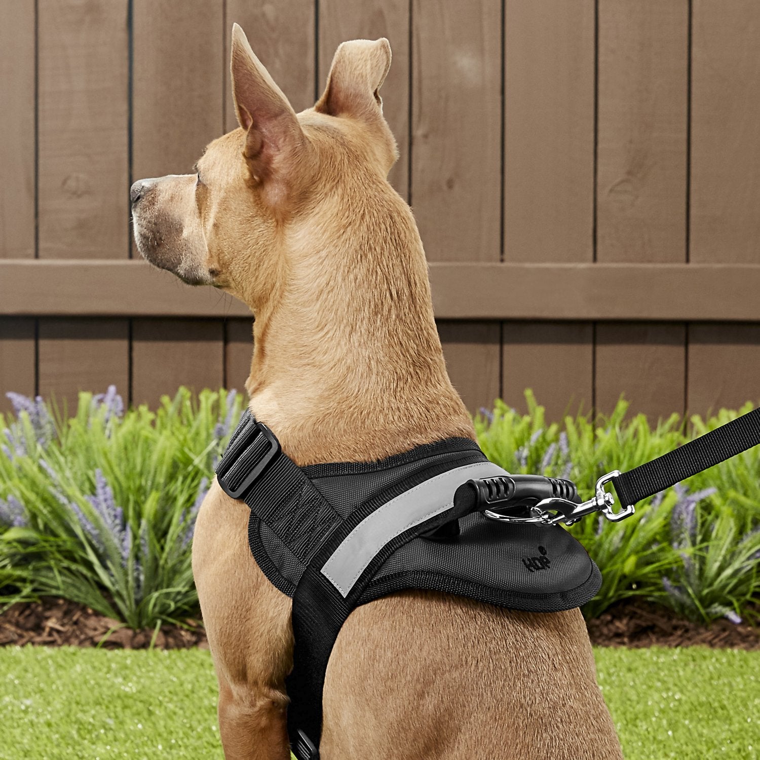 HDP Big Dog No Pull Dog Harness
