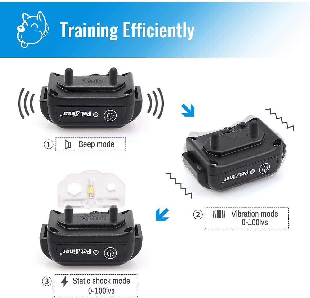 Petrainer 998dbb hot sale