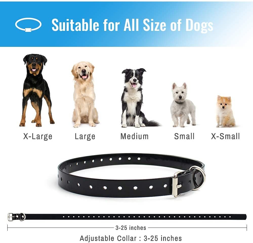 Petrainer 998DBB Waterproof Dog Training Collar Pawsibility
