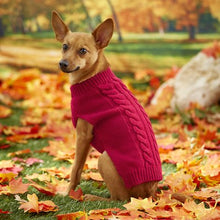 Load image into Gallery viewer, Frisco Dog &amp; Cat Cable Knitted Sweater
