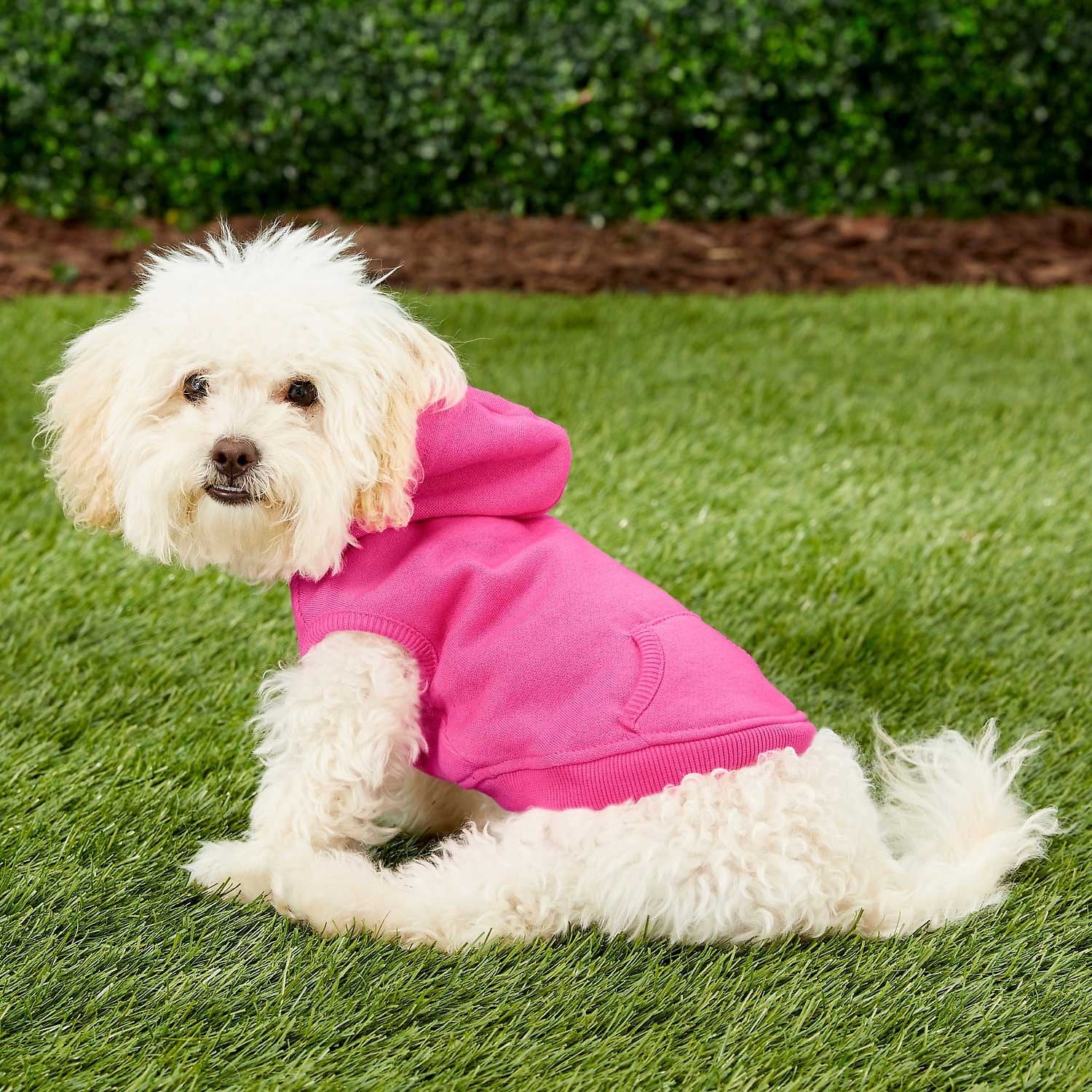 Frisco dog & cat basic hoodie top