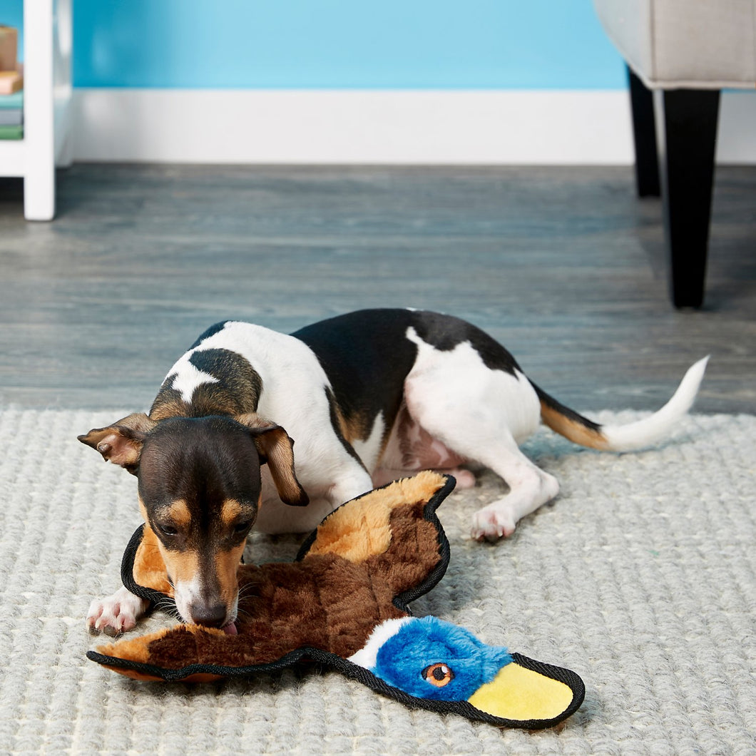 Frisco plush dog toys clearance