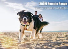 Load image into Gallery viewer, PATPET P320 300M Remote Dog Training Collar
