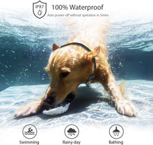 Load image into Gallery viewer, PATPET P320 300M Remote Dog Training Collar
