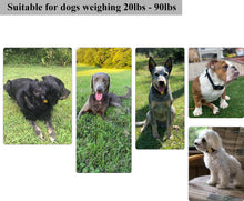 Load image into Gallery viewer, PATPET P320 300M Remote Dog Training Collar
