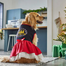 Load image into Gallery viewer, Disney Princess Enchanted Dog &amp; Cat Dress

