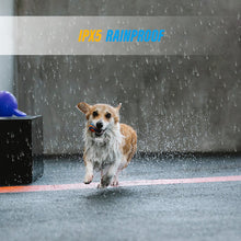 Load image into Gallery viewer, PATPET A01 Anti-Bark Dog Training Collar
