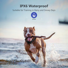 Load image into Gallery viewer, Petdiary T720 3,000-ft Shock Dog Training Collar
