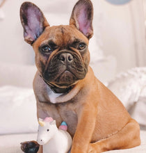 Load image into Gallery viewer, Rocket &amp; Rex Oh My! Unicorn Stuffing-Free Squeaky Plush Dog Chew Toy Set, 3 count
