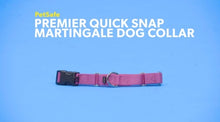 Load image into Gallery viewer, PetSafe Quick Snap Buckle Nylon Martingale Dog Collar
