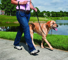 Load image into Gallery viewer, PetSafe Gentle Leader Padded No Pull Dog Headcollar
