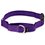 Load image into Gallery viewer, PetSafe Quick Snap Buckle Nylon Martingale Dog Collar
