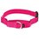 Load image into Gallery viewer, PetSafe Quick Snap Buckle Nylon Martingale Dog Collar
