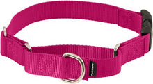Load image into Gallery viewer, PetSafe Quick Snap Buckle Nylon Martingale Dog Collar

