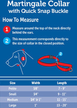 Load image into Gallery viewer, PetSafe Quick Snap Buckle Nylon Martingale Dog Collar
