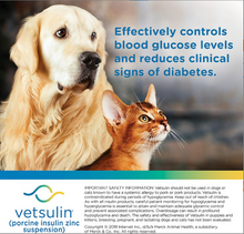 Load image into Gallery viewer, Vetsulin Insulin U-40 for Dogs &amp; Cats
