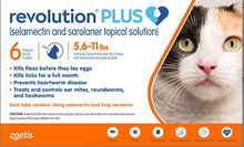 Load image into Gallery viewer, Revolution Plus Topical Solution for Cats, 5.6-11 lbs, (Orange Box)
